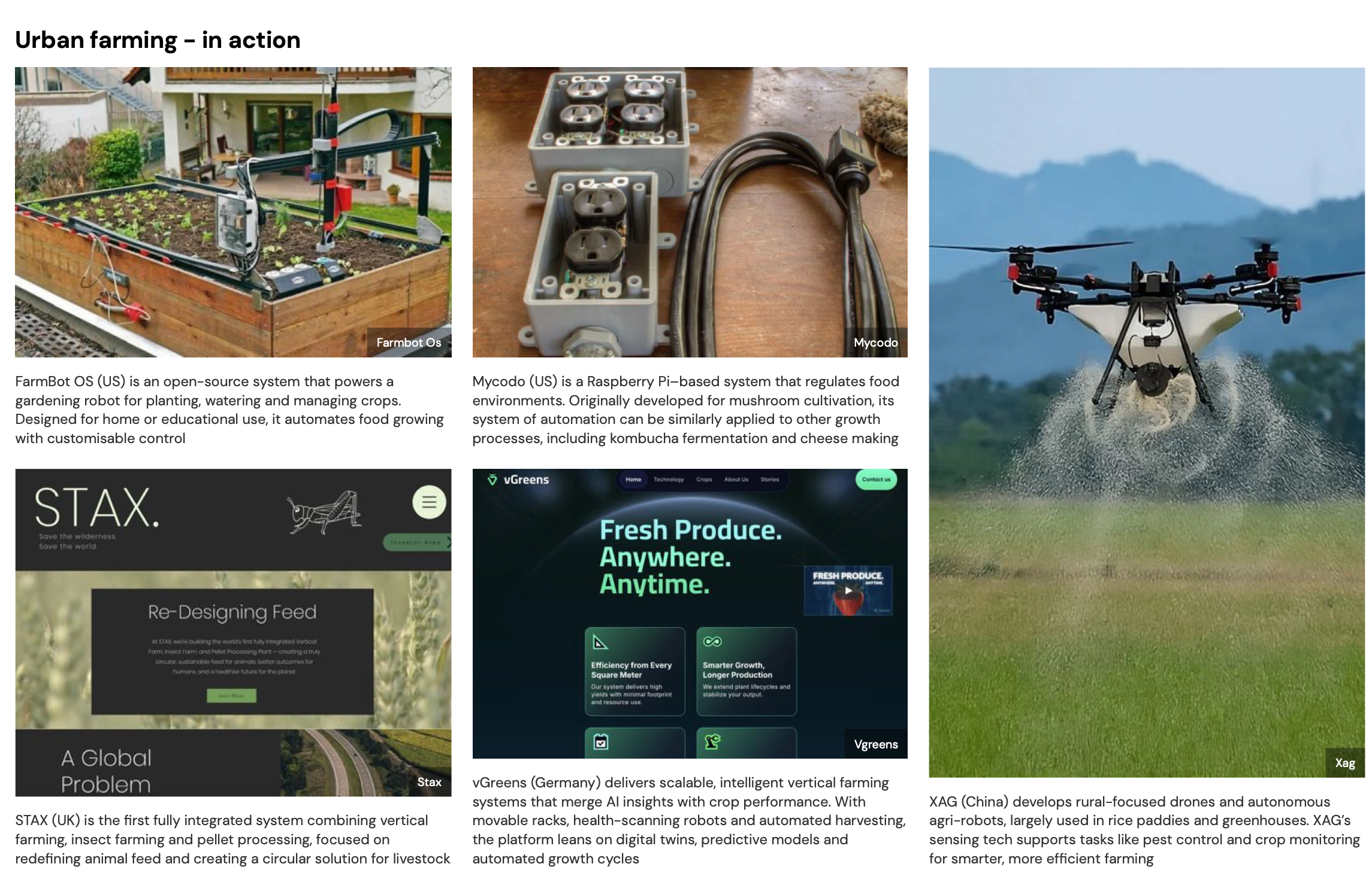 Solarpunk in action: urban farming, permacomputing inspirations